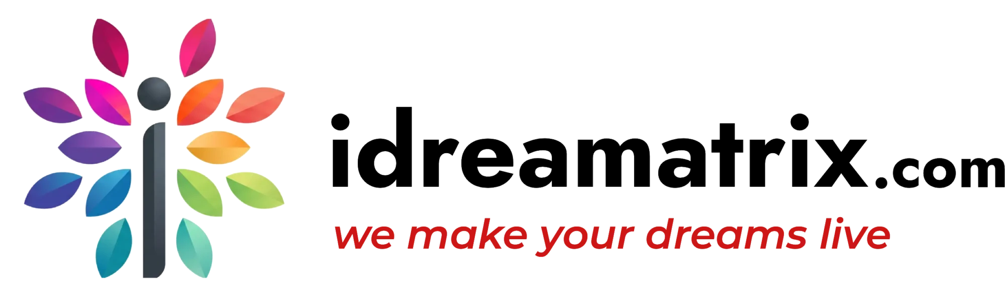 idreamatrix_logo_black
